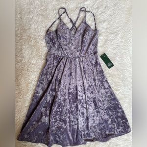 Wild Fable Vintage Violet Velvet Skater Dress
